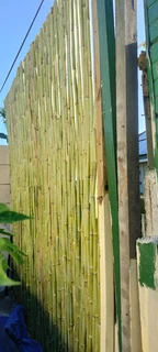 Bamboo fencing