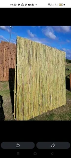 Bamboo and droppers pannels