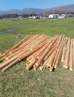 Bamboo and droppers pannels