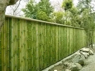 Wood and bamboo fencing
