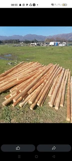 Wood poles