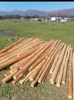 Wood poles
