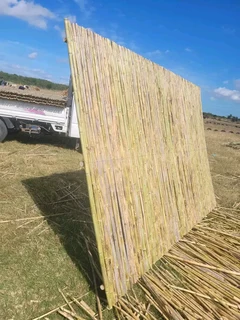 White wood fencing are bamboo