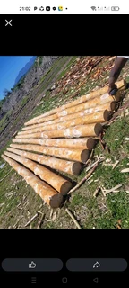 Wood poles and bamboo fencing