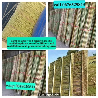 Bamboo fencing