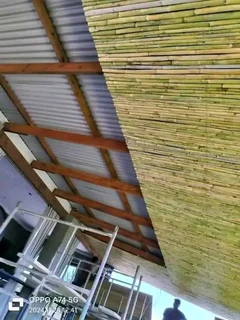 Bamboo and wood fencing