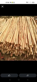 Bamboo and wood fencing