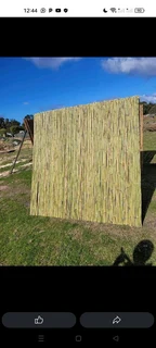 Bamboo and wood fencing