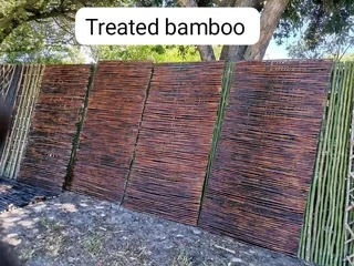 Bamboo for fencing