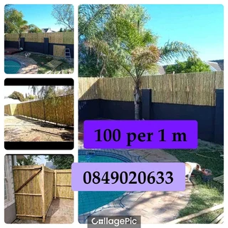 Bamboo for fencing