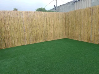 Bamboo for fencing