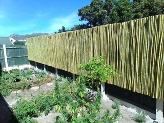 Bamboo and wood fencing