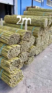 Bamboo fencing