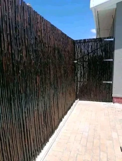 Bamboo fencing