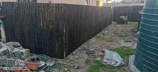 Bamboo for fencing