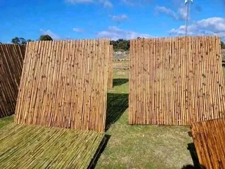 Bamboo for fencing