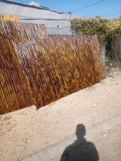 Bamboo and droppers fencing