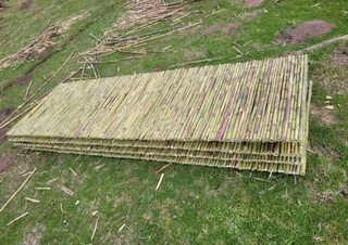 Bamboo and droppers fencing