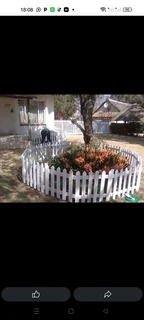 Bamboo and wood fencing