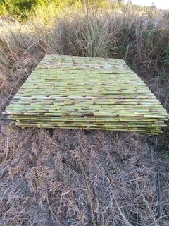 Bamboo and wood fencing