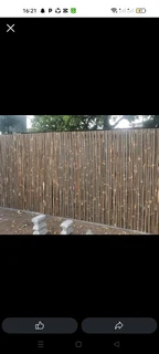Wood and bamboo fencing