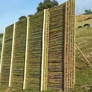 Wood and bamboo fencing