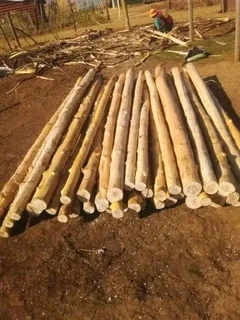 Wood and Bamboo fencing