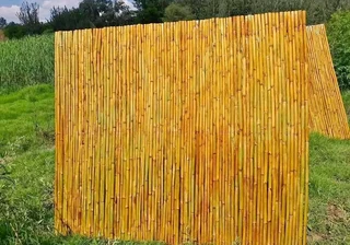 Wood and bamboo fencing