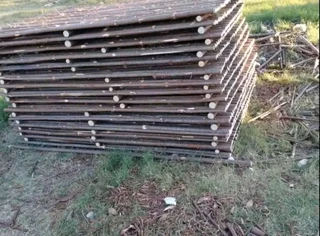 Wood and bamboo fencing
