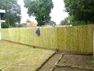 Wood and bamboo fencing