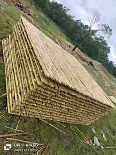 Wood and bamboo fencing