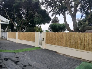 Bamboo fencing