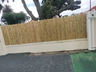Bamboo fencing