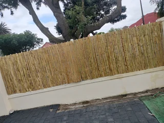 Bamboo fencing
