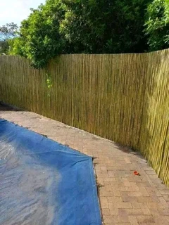 Bambo and droppers bamboo