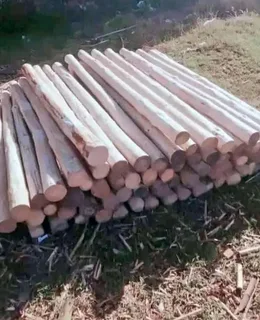 Wood and bamboo fencing