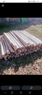 Wood and bamboo fencing