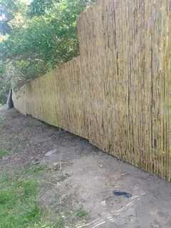 Wood and bamboo fencing
