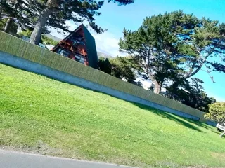 Wood and bamboo fencing