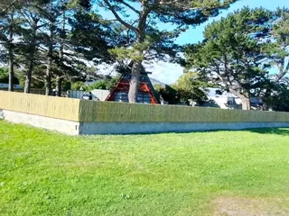 Wood and bamboo fencing