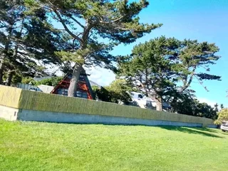 Wood and bamboo fencing