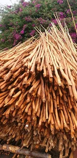 Wood and bamboo fencing