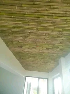 Bamboo fencing compony