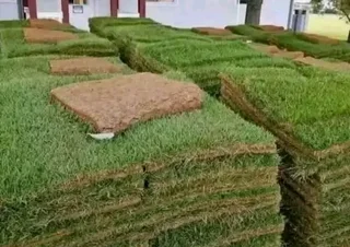 Artificial grass