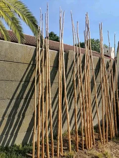 Wood and bamboo fencing