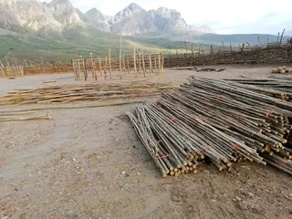 Wood and bamboo fencing