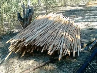 Wood and bamboo fencing