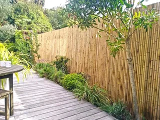 Wood and bamboo fencing
