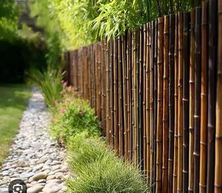 Bamboo fencing compony