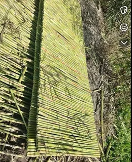 Bamboo fencing compony 0678467527